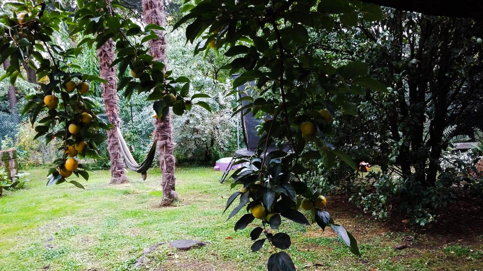 קאלולציוקורטה Adda River Casa Vacanza מראה חיצוני תמונה